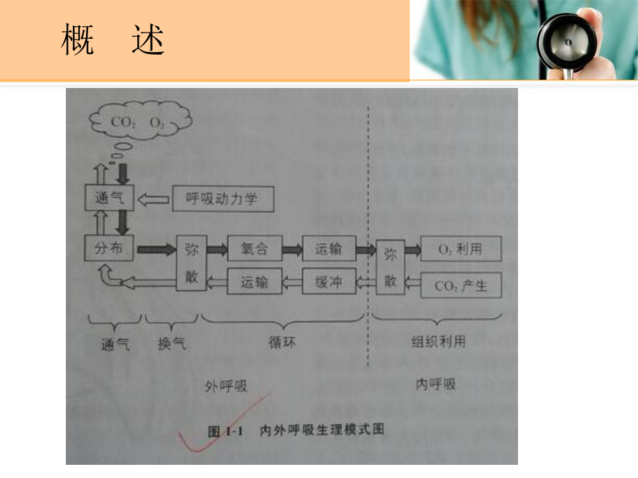 儿科给氧疗法课件.ppt_第3页