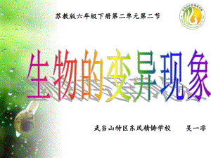 《生物的变异现象》(省一等奖)课件.ppt