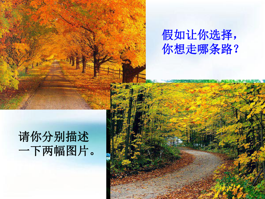 《未选择的路》优秀课件.ppt_第1页