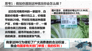 人教部编版道德和法治八年级下册第三课第二框依法行使权利课件.pptx