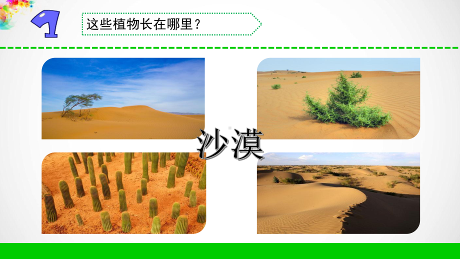 （新教材）苏教版三年级下册《科学》6沙漠里的植物课件.ppt_第3页