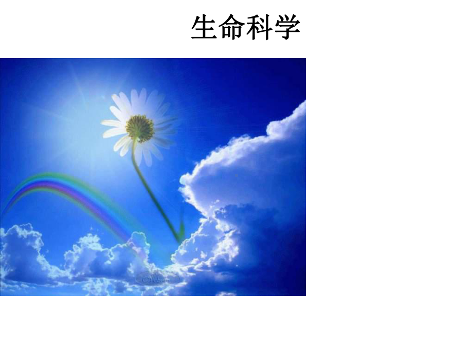 八年级生物神经调节课件.ppt_第1页