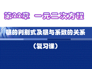 一元二次方程判别式及根与系数的关系复习课课件.ppt