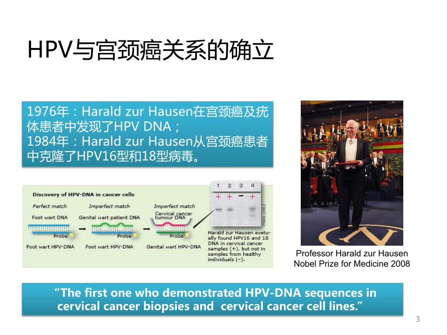 HPV检测技术及临床应用参考教学课件.ppt_第3页