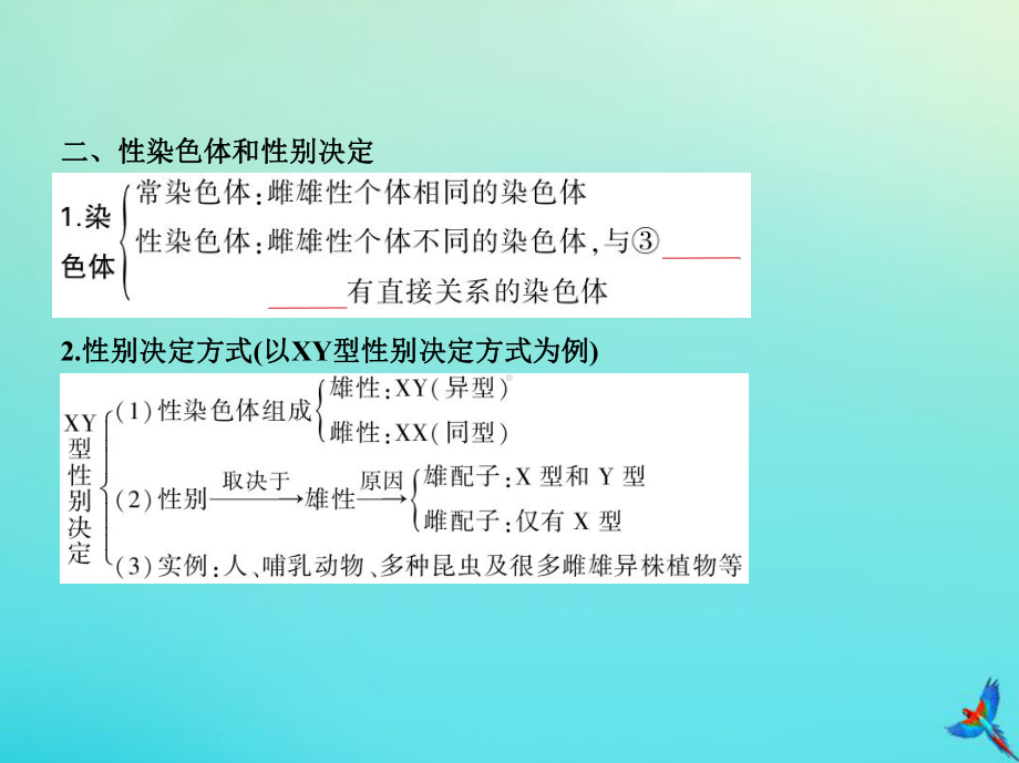 5年高考3年模拟A版浙江省2020年高考生物总复习专题13伴性遗传与人类遗传参件课件.pptx_第3页