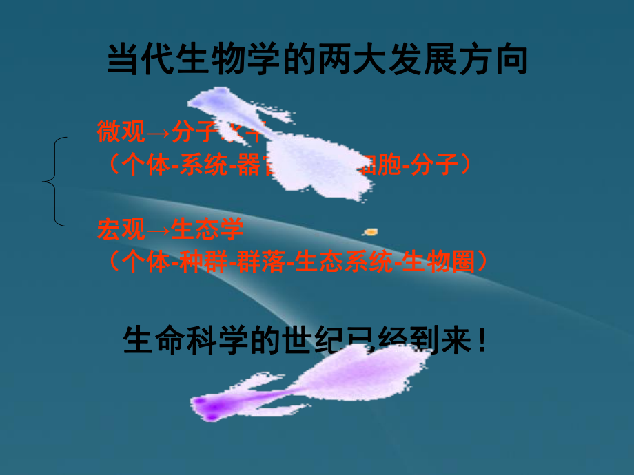 从生物圈到细胞课件4.ppt_第3页