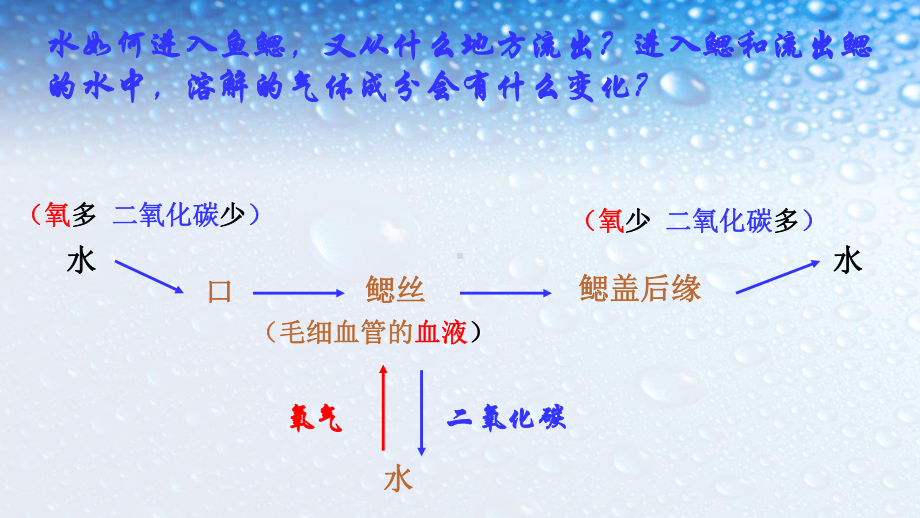 八年级生物上册总复习课件(人教版).ppt_第3页