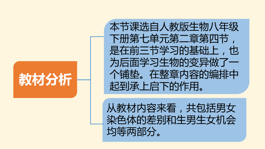 人教版八年级生物下册说课人的性别遗传课件.pptx_第3页