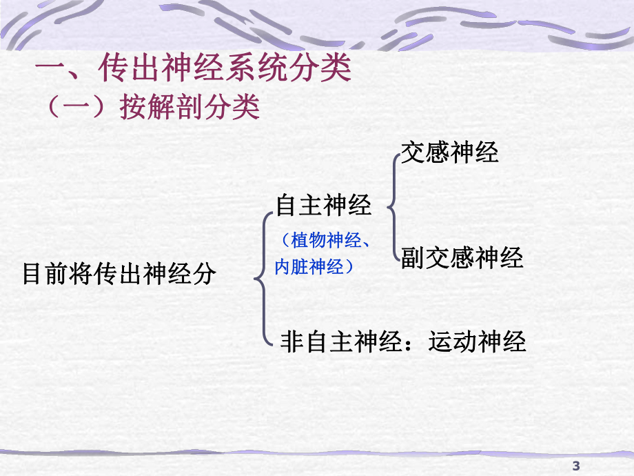 传出神经系统药理概论-课件.ppt_第3页