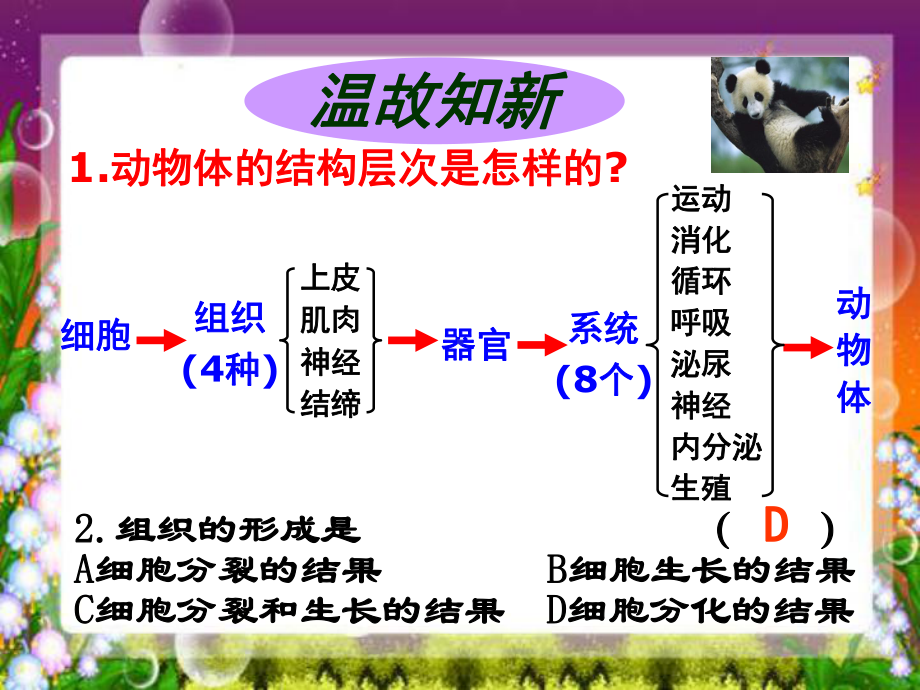 优质课-七年级生物上册课件223-植物体的结构层次.ppt_第2页