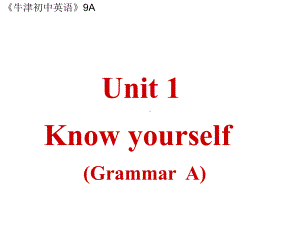 初中英语牛津译林版-9年级Unit1-Grammar-课件.ppt