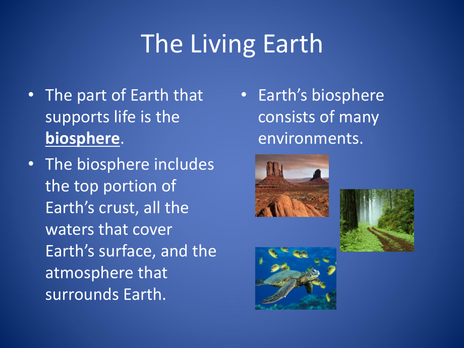 动植物气候介绍蓝色蓝色模板课件.ppt_第2页