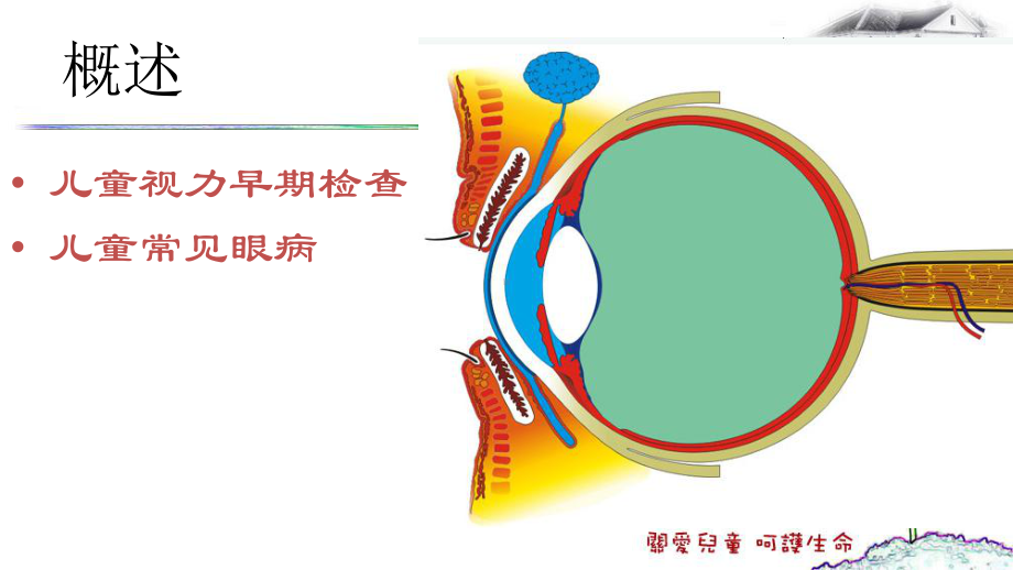 儿童常见眼病汇总课件.ppt_第2页