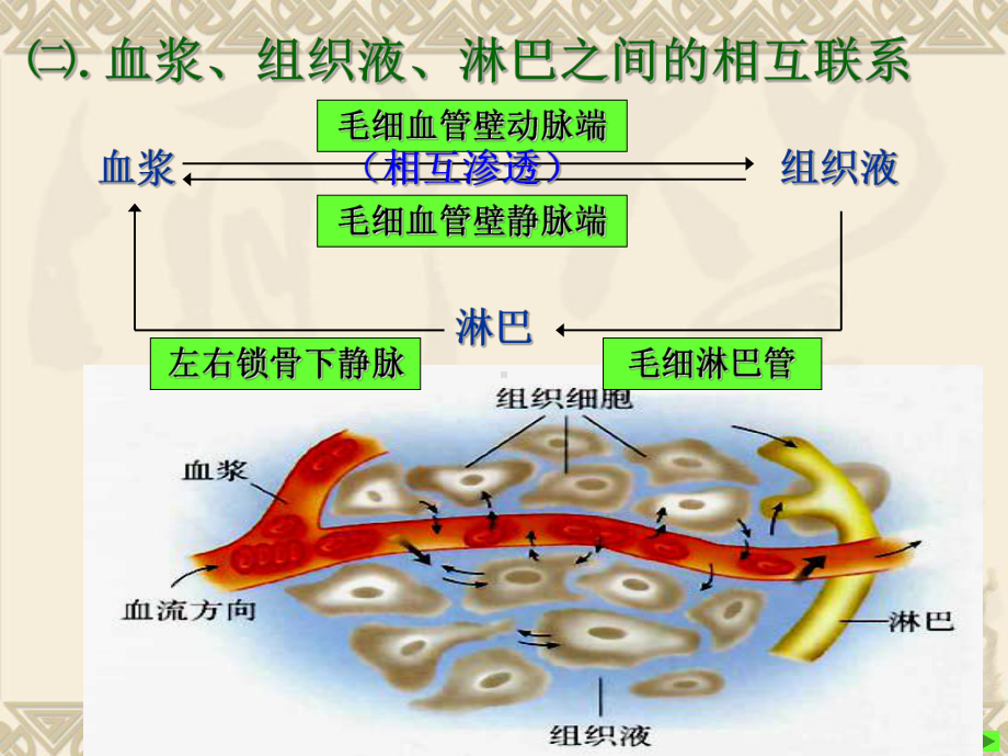 内环境与稳态1-课件.ppt_第3页