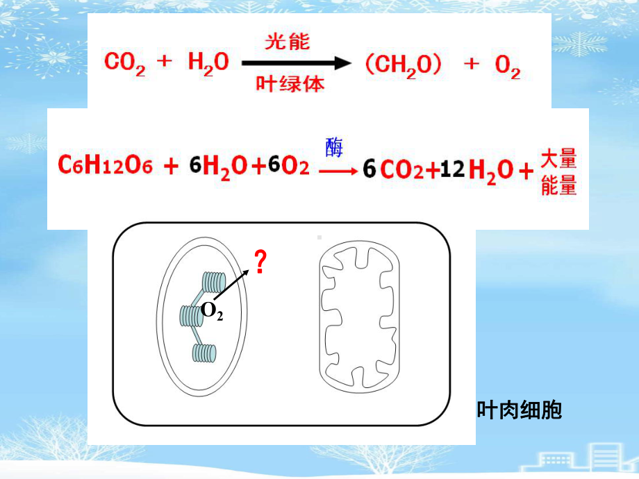 光合作用和呼吸作用综合问题分析2021完整版课件.ppt_第3页