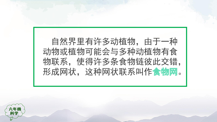 人教鄂教版六年级上册科学食物链(第二课时)课件.pptx_第3页