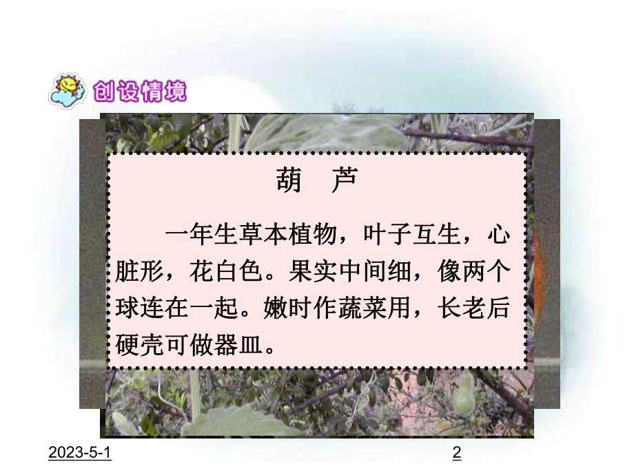 (课堂教学课件4)我要的是葫芦.ppt_第2页