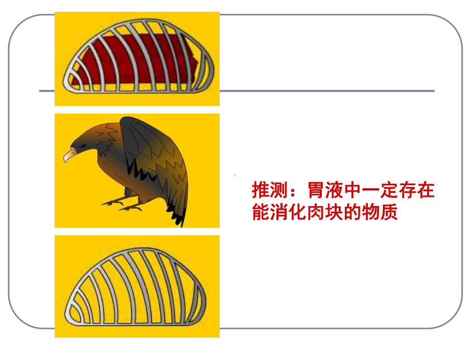 优质课-人教版生物必修一51《降低化学反应活化能的酶》课件.ppt_第2页