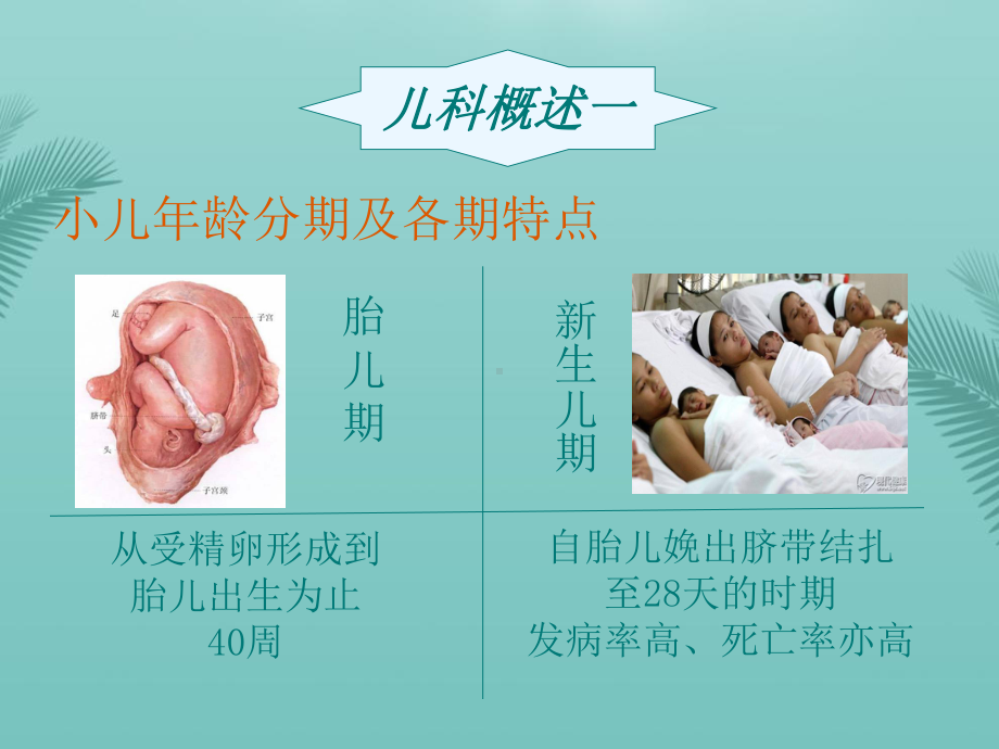 儿科常见疾病优秀精选课件.ppt_第3页