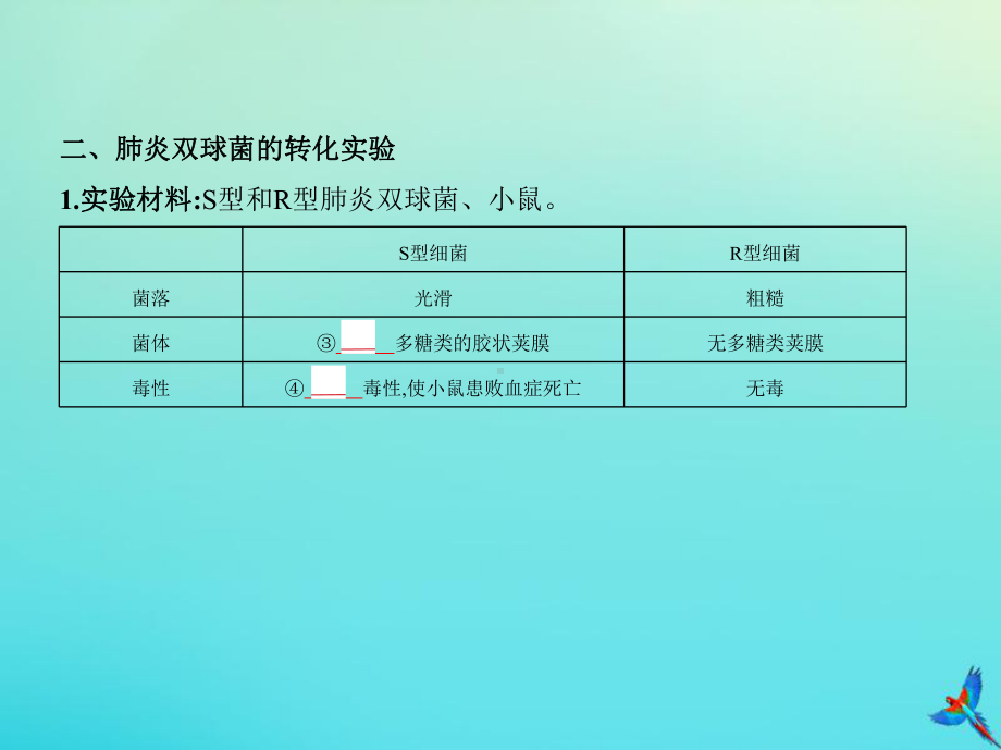 5年高考3年模拟A版浙江省2020年高考生物总复习专题10遗传的分子基次件课件.pptx_第3页