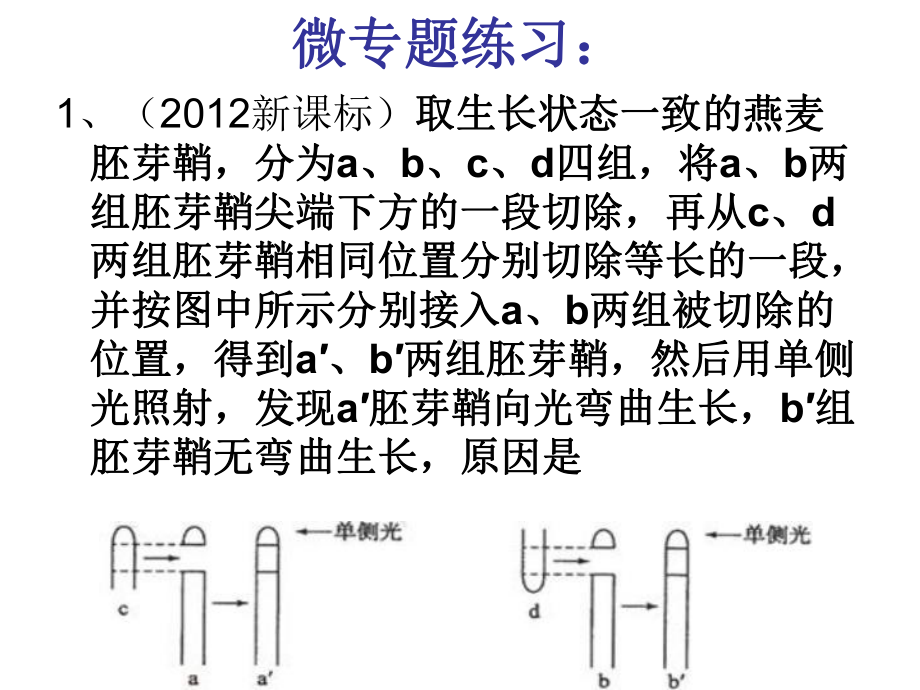 一轮复习生长素的发现及其拓展实验课件.ppt_第3页