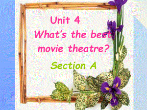 八年级英语上册Unit4What’sthebestmovietheatreSecti课件.ppt