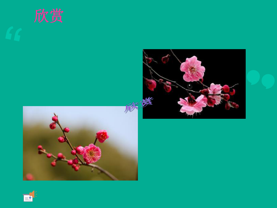 人美术版小学美术五年级下册《花鸟画》课件.ppt_第1页