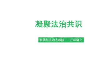 人教版《道德与法治》九年级上册42《凝聚法治共识》课件-参考.ppt