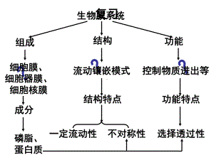 优质课-人教版高一生物必修一(课件)51降低化学反应活化能的酶.ppt