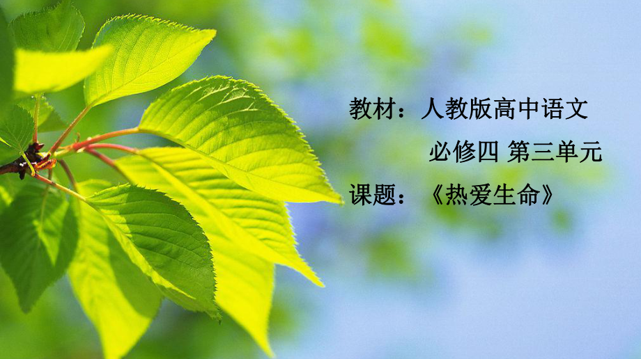 优质课高中语文必修四《热爱生命》课件.pptx_第1页