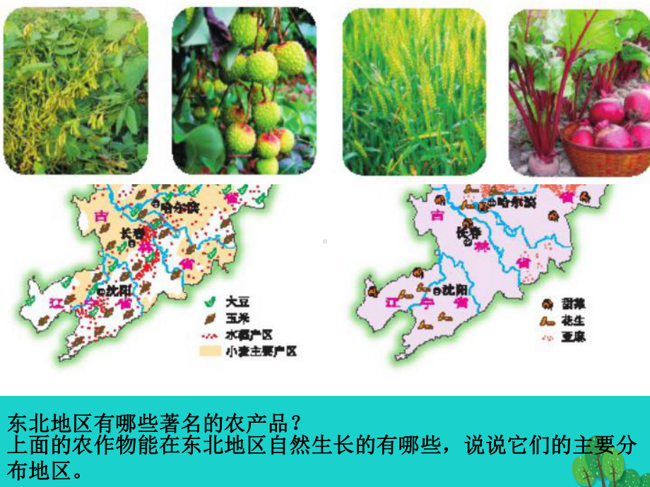 八年级地理下册第六章第三节东北地区的产业分布课件(1.ppt_第2页