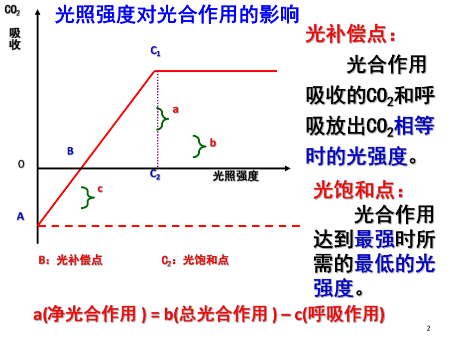 光合作用重点知识详尽讲解(课堂)课件.ppt_第2页