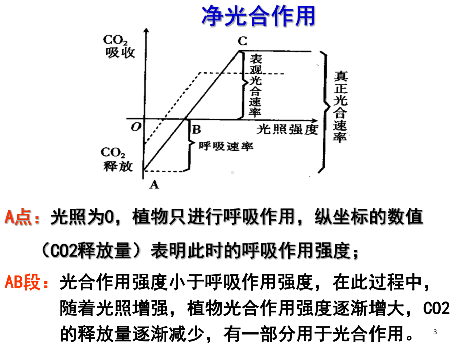 光合作用重点知识详尽讲解(课堂)课件.ppt_第3页