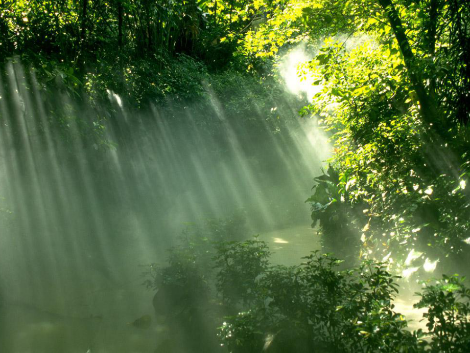 冀少儿版七年级上册生物：第一节-在实验室里观察植物课件.ppt_第3页