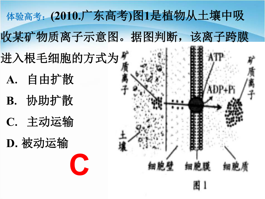 43物质跨膜运输的方式-一轮复习-公开课推荐课课件.ppt_第2页