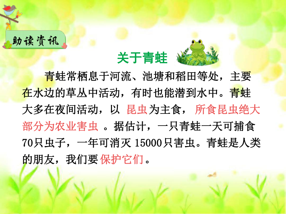 （优选推荐）部编版一年级下册语文识字3小青蛙精美课件(公开课).ppt_第3页