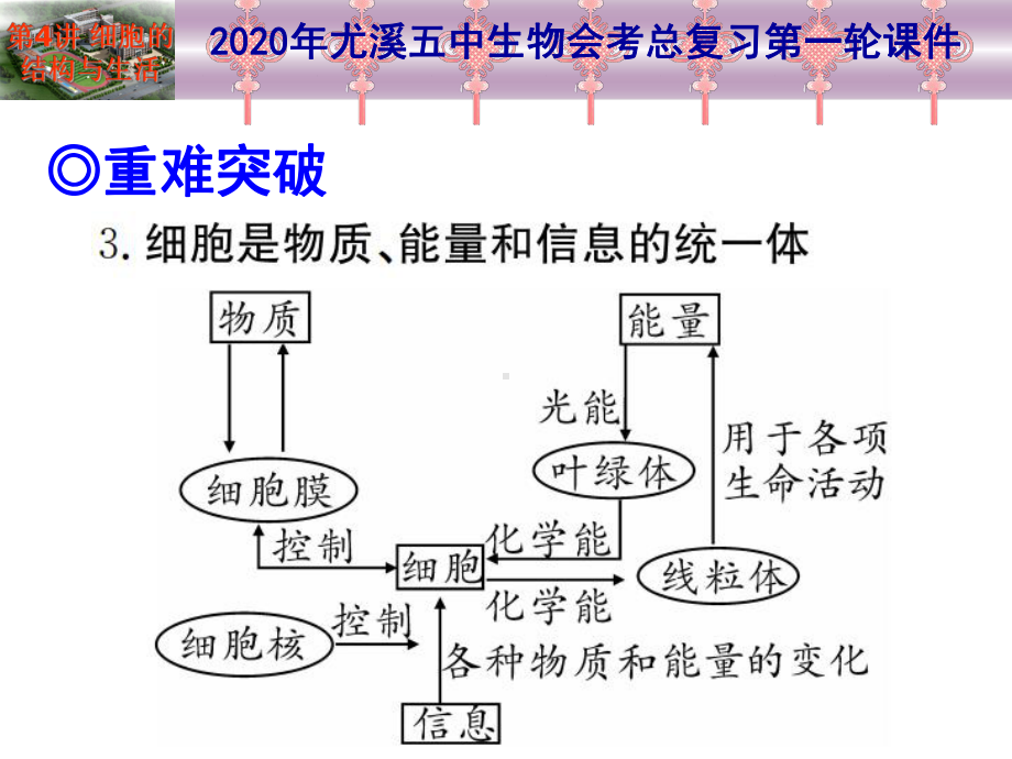 2020年生物总复习第一轮-第04讲-细胞的结构与生活课件.ppt_第2页