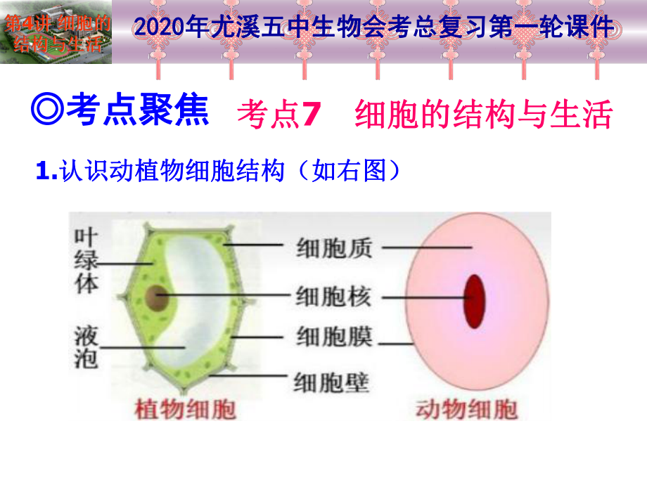 2020年生物总复习第一轮-第04讲-细胞的结构与生活课件.ppt_第3页