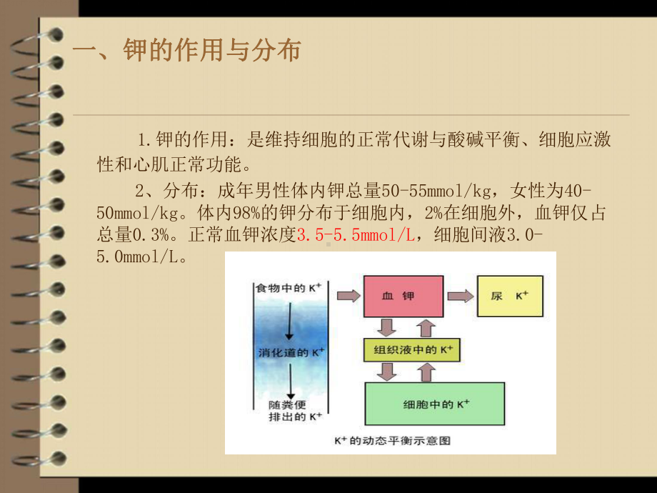 低钾血症和补钾课件.ppt_第2页