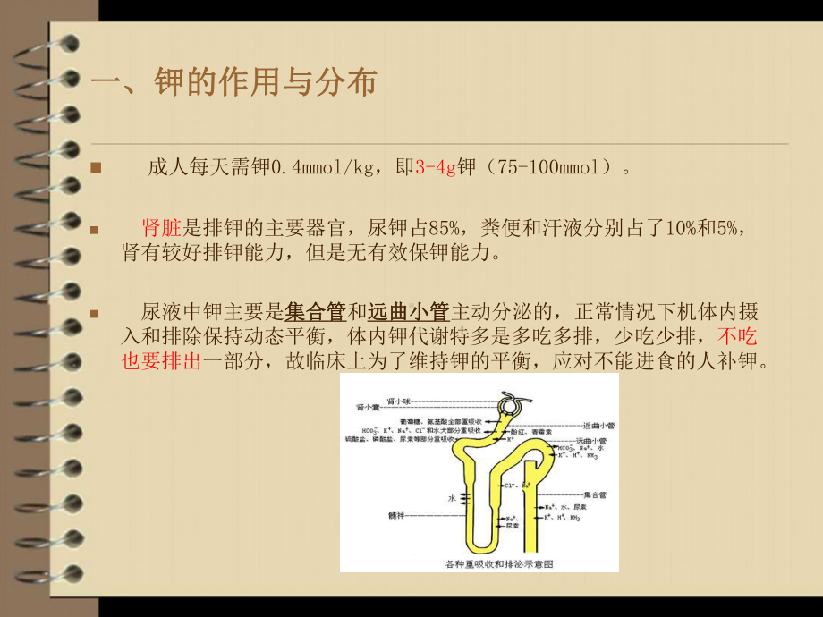 低钾血症和补钾课件.ppt_第3页