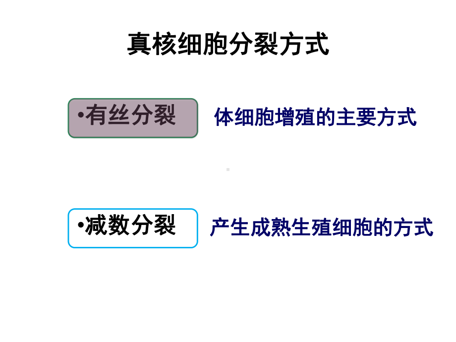 优质课高中生物浙科版必修一-第4章-第1节-细胞的增殖-课件.ppt_第3页