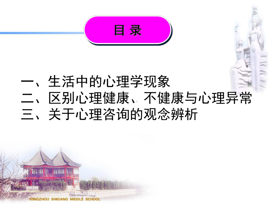 中学生心理健康系列讲座(一)课件.ppt_第2页