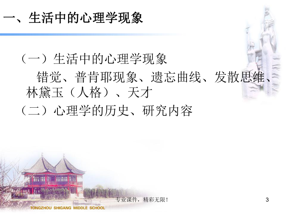 中学生心理健康系列讲座(一)课件.ppt_第3页