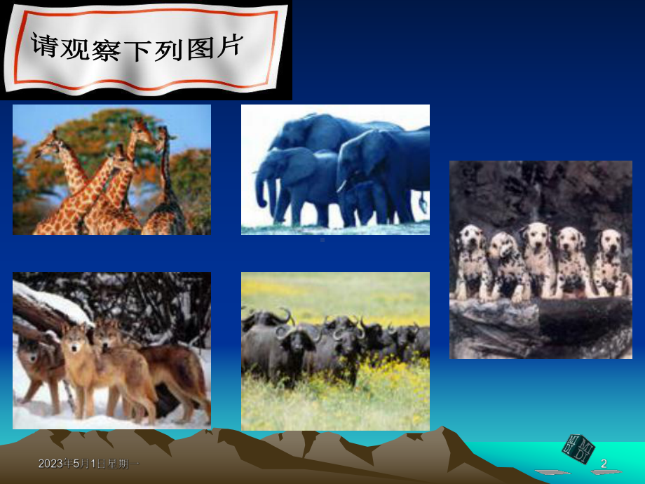 111集合的含义与表示教学课件25.ppt_第2页