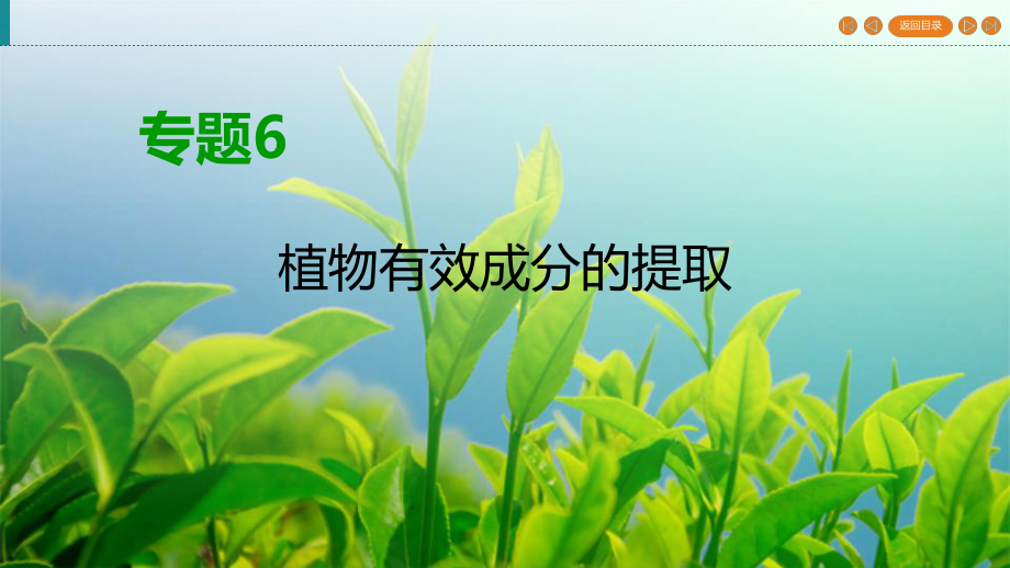 人教高中生物选修1-课件-专题6-植物有效成分的提取-专题复习方案6.ppt_第1页