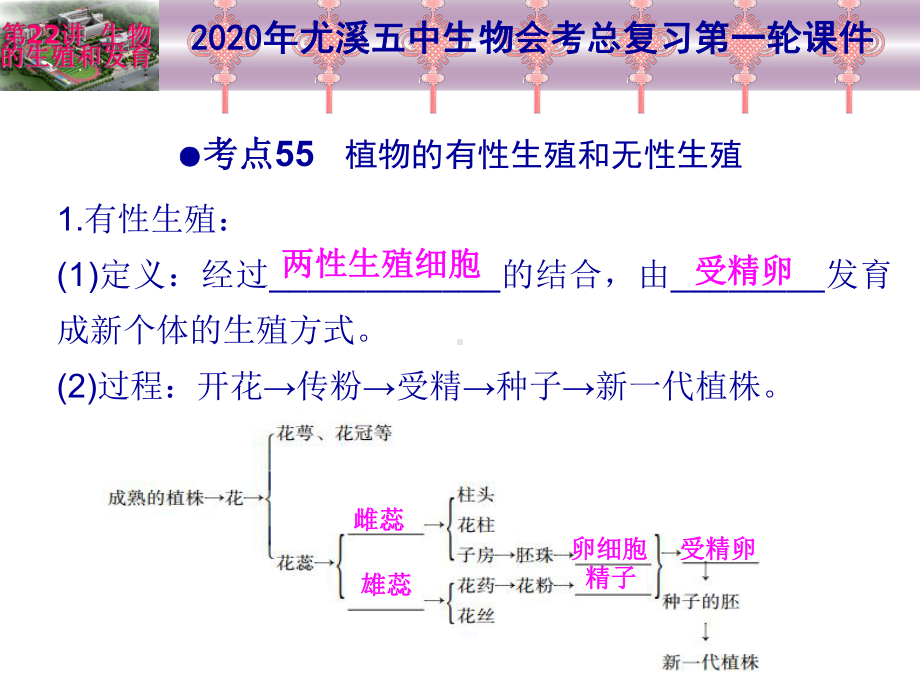 2020年生物总复习第一轮-第22讲-生物的生殖和发育课件.ppt_第2页