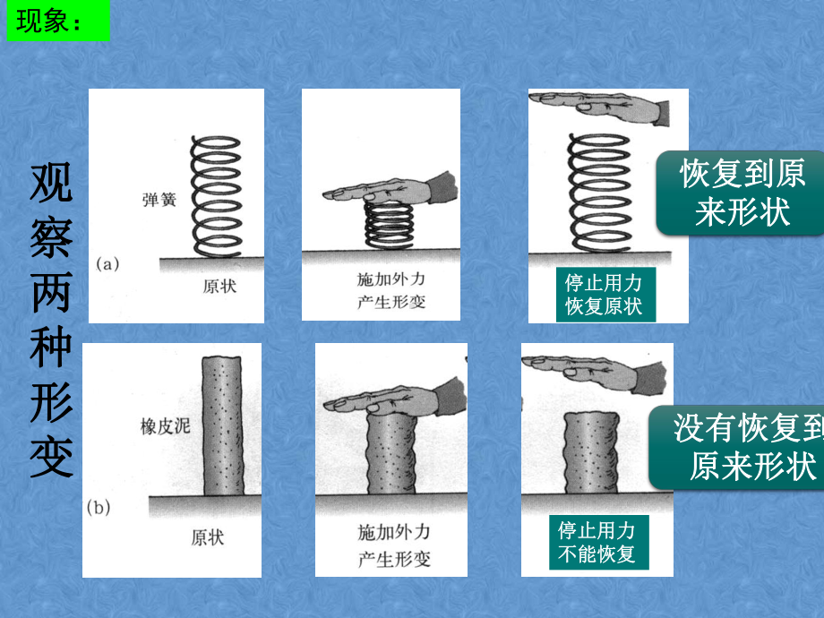 73-弹力-弹簧测力计课件.ppt_第3页