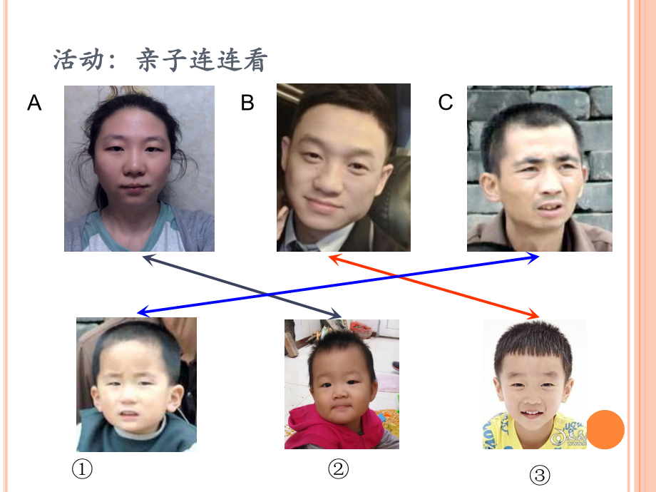 优质课北京课改版八年级生物上册教学课件111生物的性状表现.ppt_第2页