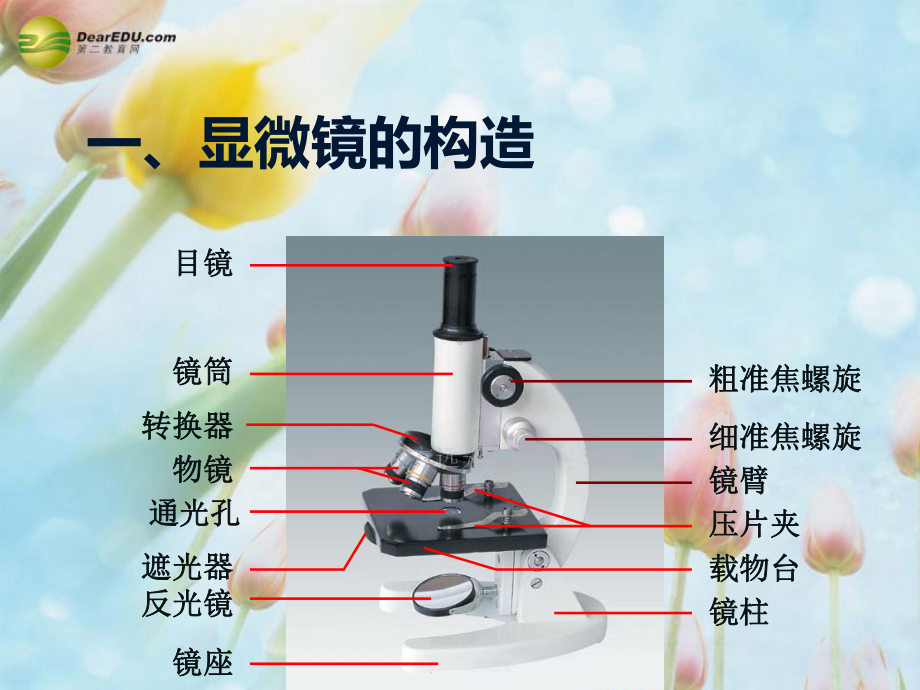 七年级生物上册练习使用显微镜课件新人教版.pptx_第3页