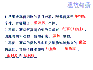 优质课-人教版八年级上册生物第四章第四节细菌和真菌在自然界中的作用课件.ppt